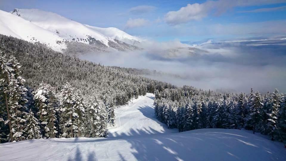 Fortuna Luxury Apartment Bansko Bagian luar foto