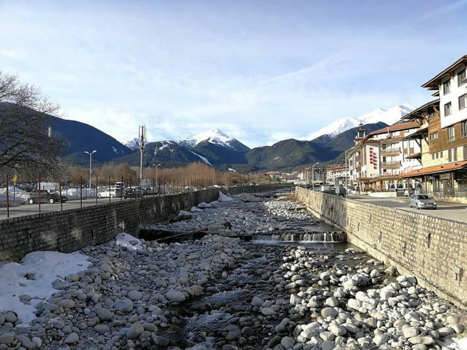 Fortuna Luxury Apartment Bansko Bagian luar foto