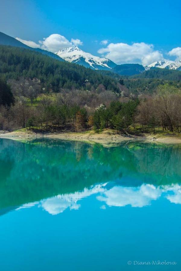 Fortuna Luxury Apartment Bansko Bagian luar foto