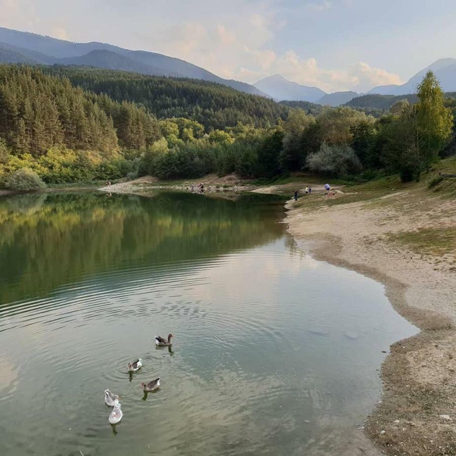 Fortuna Luxury Apartment Bansko Bagian luar foto